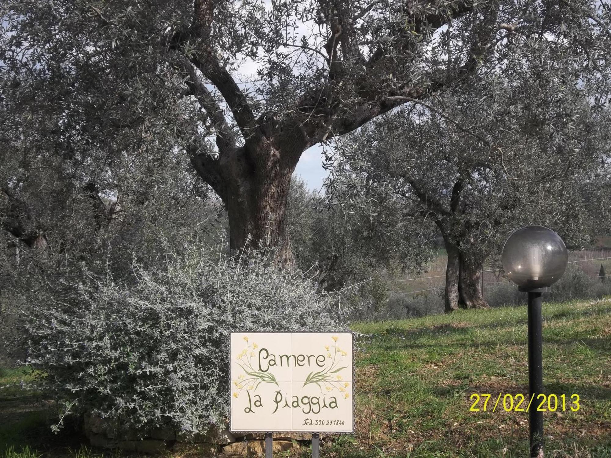 B&B La Piaggia Montemerano Exteriör bild