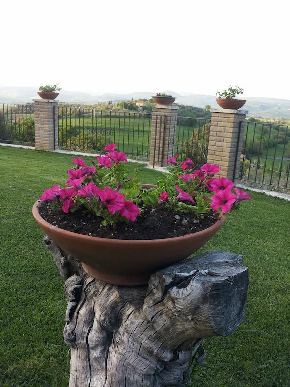 B&B La Piaggia Montemerano Rum bild