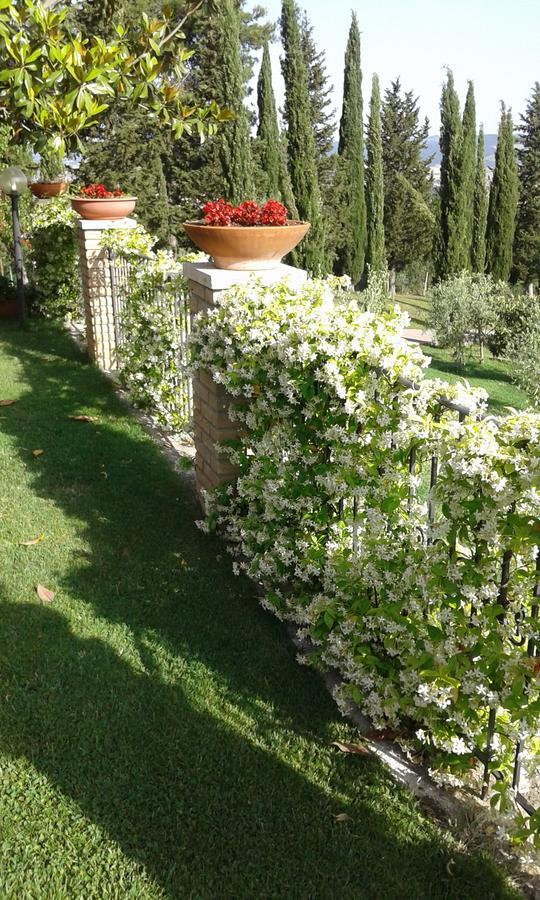 B&B La Piaggia Montemerano Exteriör bild
